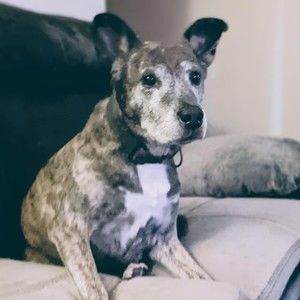 Meet your Posher, Marcey